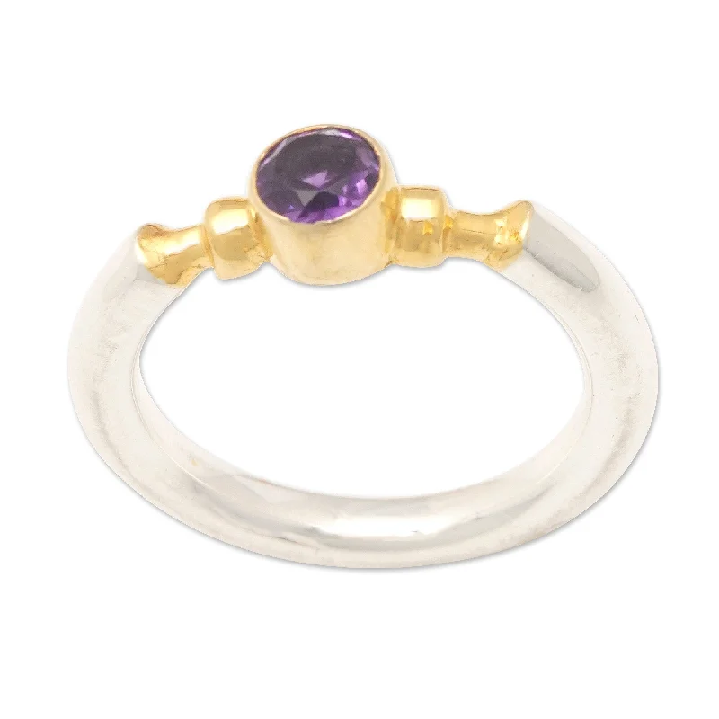 Women’s modern engagement rings-Novica Handmade Majestic Purple Gold-Accented Amethyst Single Stone Ring